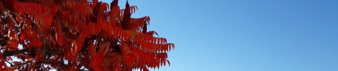 Herbstbanner